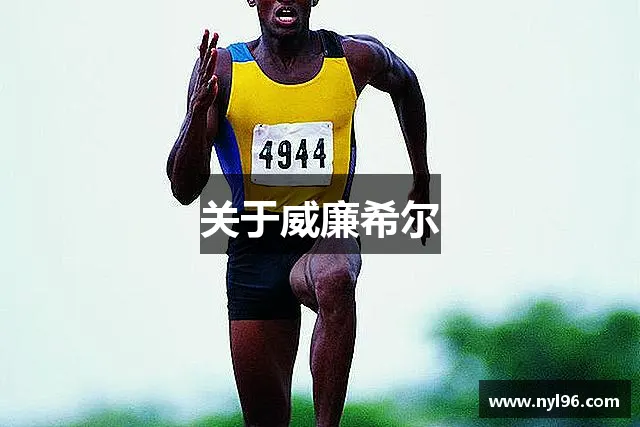 关于威廉希尔